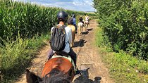 Horseback Riding Tour In Brasov - Ride Through Fields, Forests & Hills