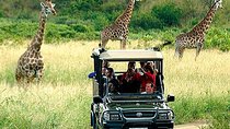 Cape Town , Aquila Safari Game Reserve Overnight Tour