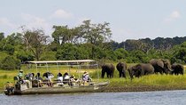 Chobe Full Day Trip