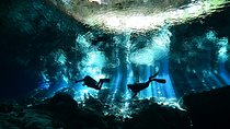 2 dives in Cenote Dos ojos Certified Divers