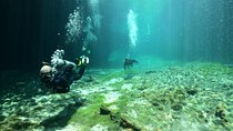 Discover Scuba Diving in Tulum