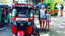 Exclusive : City Tour in Kandy By Tuk-Tuk