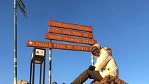 4 Days Mt Kenya Hike via Narumoro Route