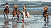 Horse Riding 30 minutes At Black Sand Beach and Ubud Tour