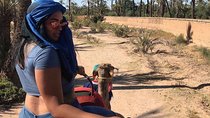 Marrakech Luxery sunset Camel Ride