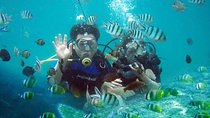 Scuba Diving - Parasailing - Banana Boat - All Inclusive with Hotel Transfer