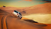 Dubai Desert Safari Red Dune: BBQ, Camel Ride & Sand-boarding