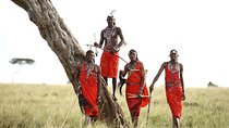 4-Day L.Nakuru- Maasai Mara Joining Safari