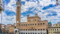 Siena & San Gimignano Port Tour (Driver Only/Self Touring)