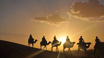 Sunset Camel Ride in the AGAFAY DESERT trip from Marrakech
