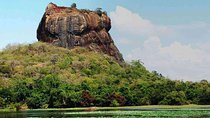 Private Sigiriya Day Tour with Friendly Chauffeur 