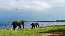 Amazing Sri Lanka (24 Days)