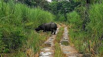 Kathmandu Chitwan Pokhara Tour