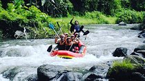 Rafting With VW ( Volkswagen ) Transfer