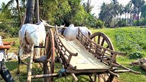 Rural Village with Ox Cart Journey & Monk Blessing