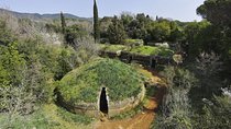 Cerveteri - The Etruscan Necropolis Private Tour from Rome