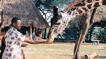 7 Days Kenya Luxury Safaris - Masai Mara NR, Amboseli NP and Lake Nakuru NP
