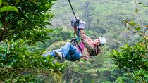  Sky Adventures Arenal : Zipline - Sky Tram & Sky Walk (guided)