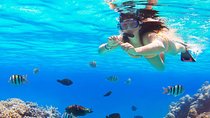 Snorkeling Cruise from Hurghada to Mahmaya, Giftun Islands