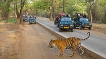 4 Days Golden Triangle Tour with Ranthambore Tigers Safari