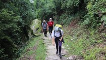 Mardi Himal Base Camp Trek (5 Days)