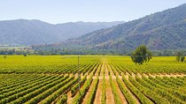 Colchagua Full Day Wine Tour: Casa Silva & L'Apostolle Wineries