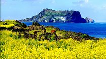 Full Day Jeju Private Customizable highlight Tour