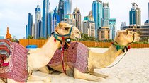 Half Day Dubai City Tour and Evening Desert Safari Combo