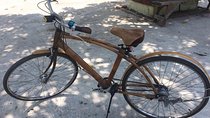 Bamboo Bike Food Tour