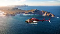 Scenic Cape Point Helicopter Tour from Cape Town