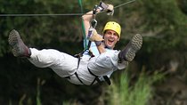 Rainforest Canopy Tour From Sarapiquí