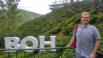 Amazing Cameron Highland Day Tour From Kuala Lumpur 