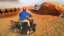 Dubai: Evening Desert Safari + Quad Bike, Dune Bashing & BBQ Dinner 