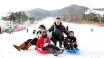 Seoul Ski Tour at Jisan Forest Resort