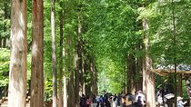 Winter Sonata TV Tour on Nami Island from Seoul