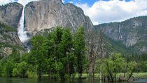 2-Day Private Yosemite Tour: Waterfalls, Sequoias and Glacier Pt