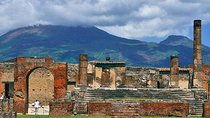 Pompei Ruins Private Tour from Rome