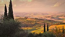 Montalcino and Pienza Tour from Rome