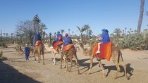 Marrakech Camel Safari at Agafay Desert