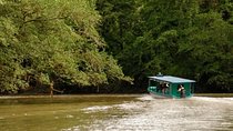 Safari Boat on Sarapiqui River with Lunch from San Jose