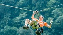 Sky Tram, Sky Trek and Sky Walk From Arenal