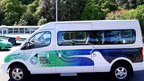 Auckland Airport Private Pickup / Transfer