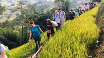 Sapa 2 Days 2 Nights Trekking Tour - Overnight in Bus and Bungalow