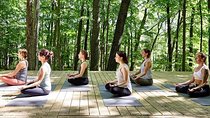 Etna Volcanic Yoga and Meditation - Private Experience