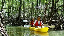 Damas Island Kayaking Tour From Manuel Antonio
