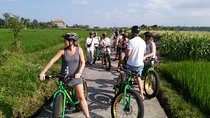 Ubud Rice Terraces eBike Private Tour 