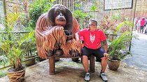 Taiping & Orang Utan Island Day Tour from Kuala Lumpur