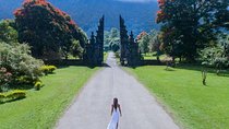 North Bali's Divine Beauty:Handara Gate, Hidden Hills & Waterfall