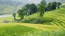 3-Night Sapa and Muong Hoa Valley Trekking Tour from Hanoi