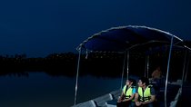 Private Tour: Kuala Selangor Firefly Blinkings including Seafood Dinner